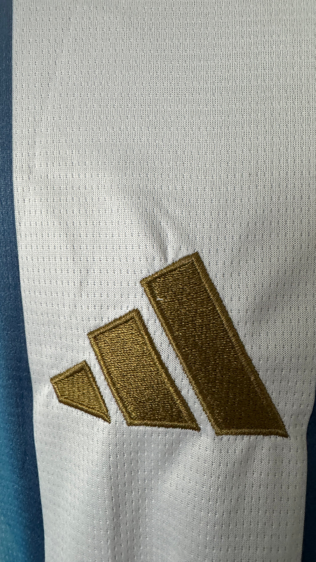 2026 W.C. Argentina Jersey