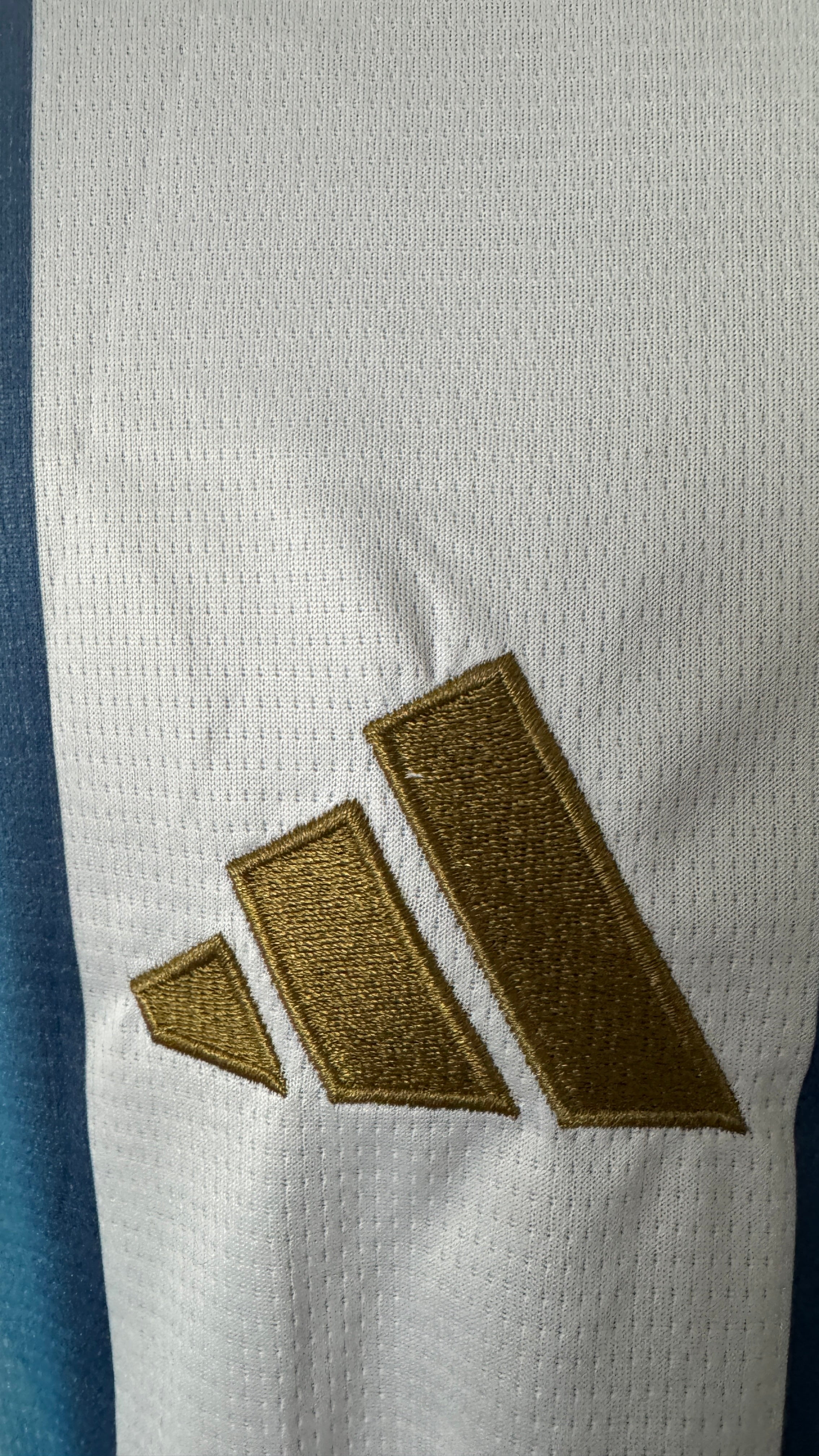 2026 W.C. Argentina Jersey