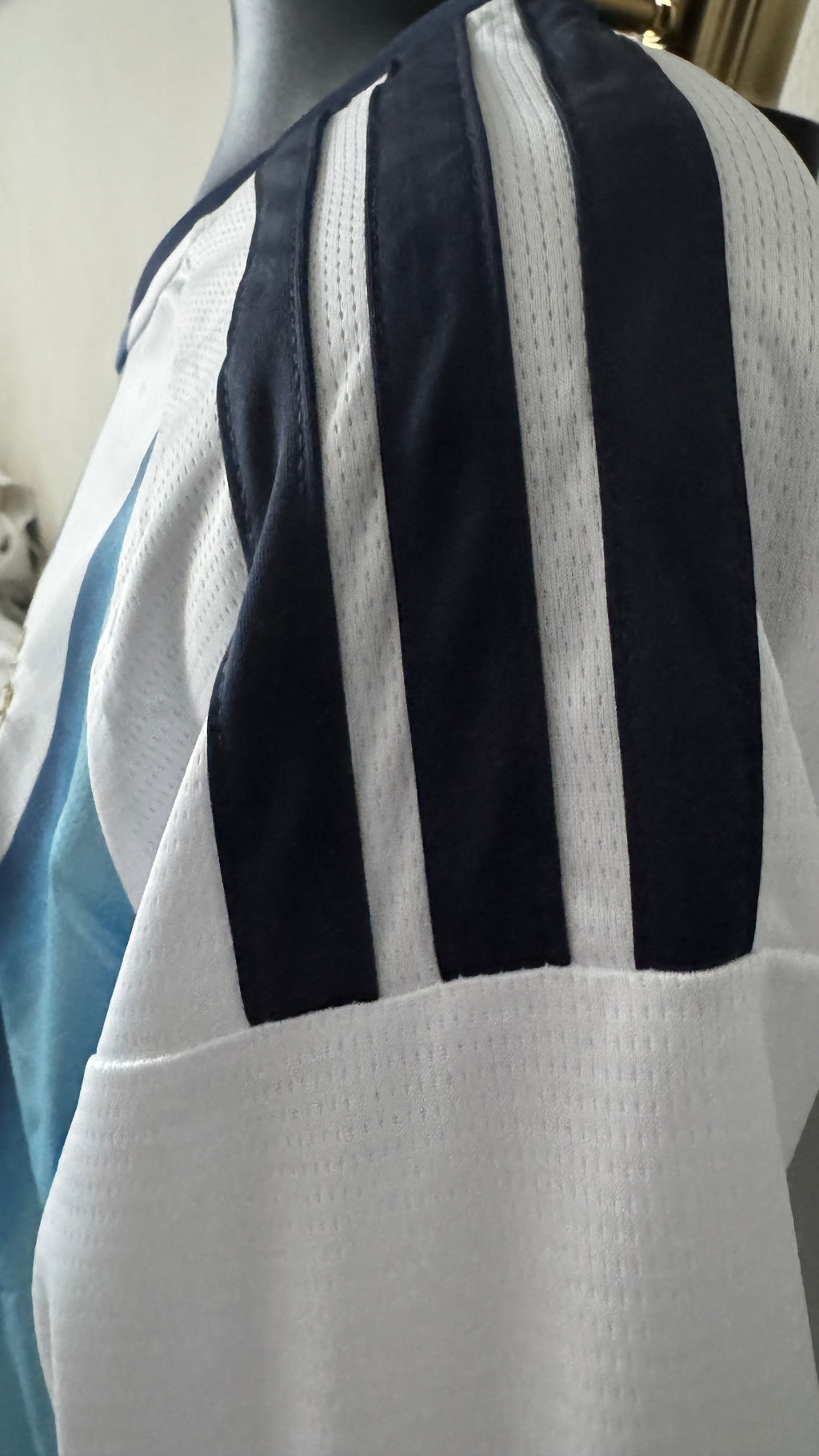 2026 W.C. Argentina Jersey