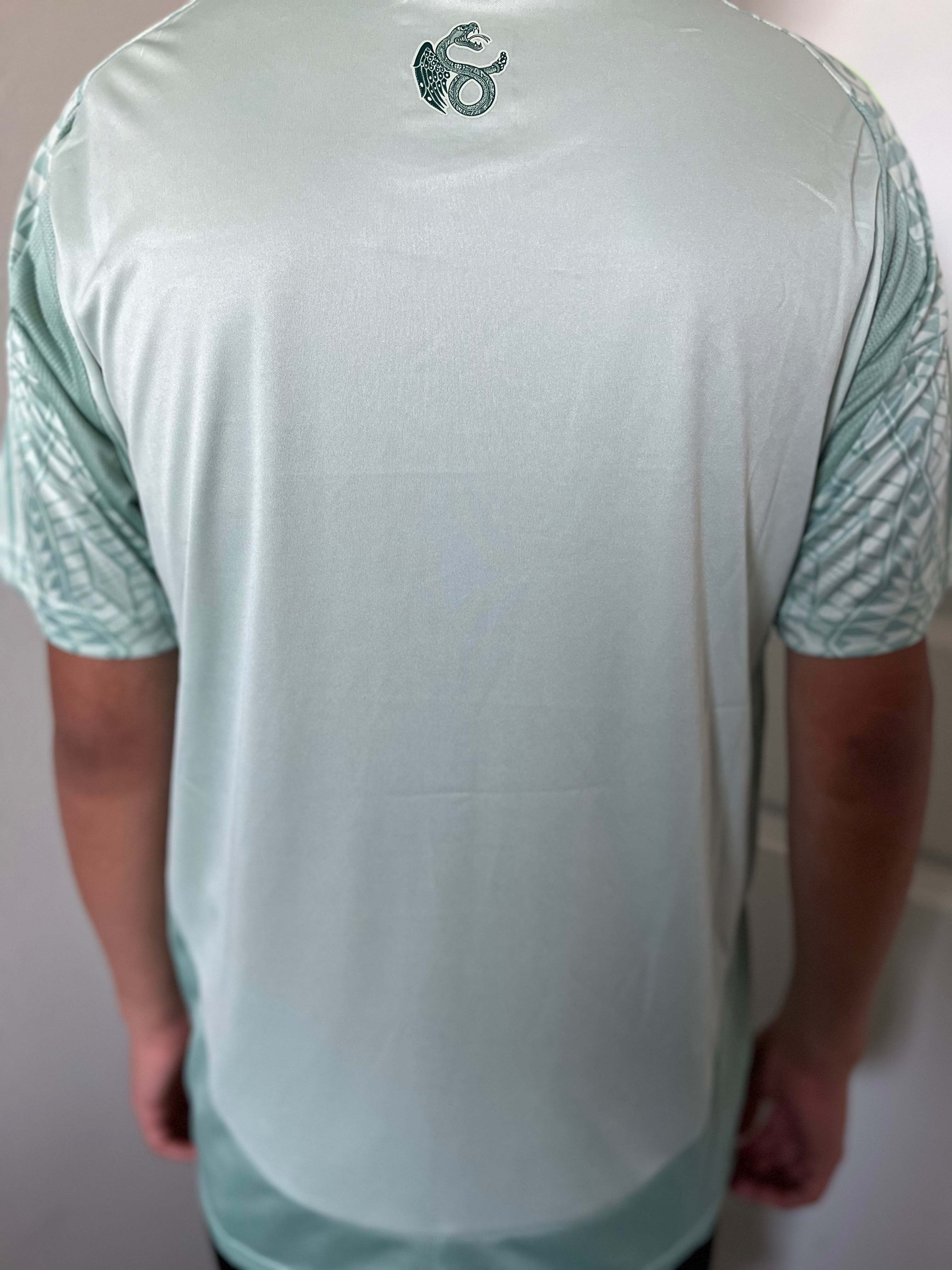 Mexico Copa America Edition Home/Away Kit