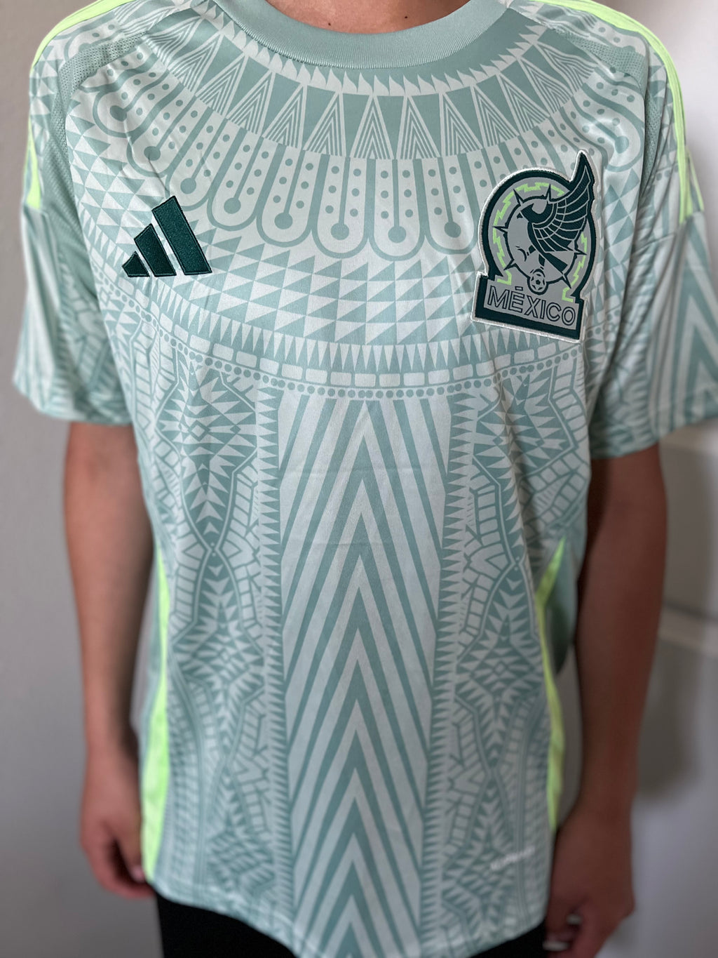 Mexico Copa America Edition Home/Away Kit