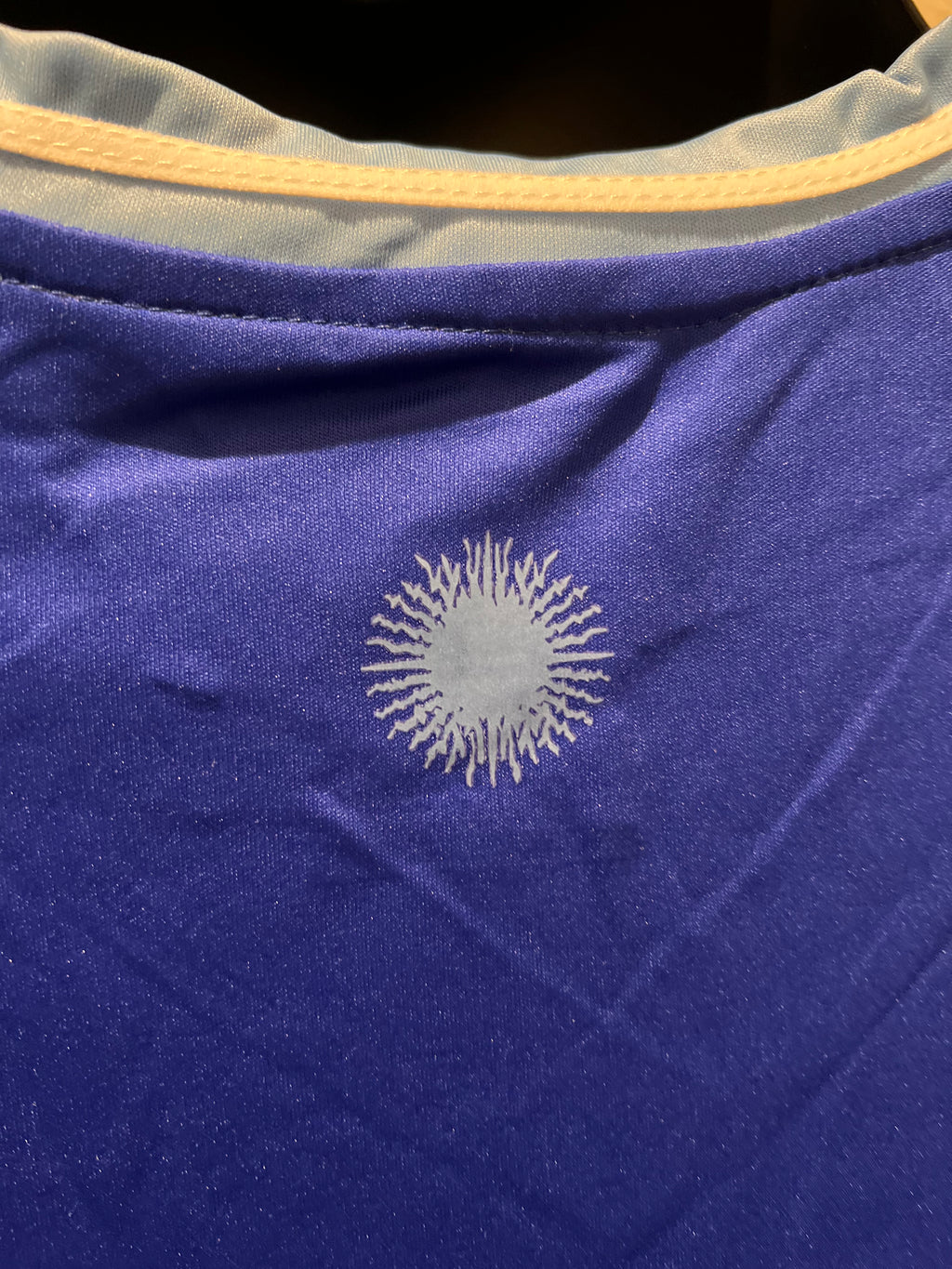 Argentina Home/Away Jerseys Copa America Edition Kit 2024
