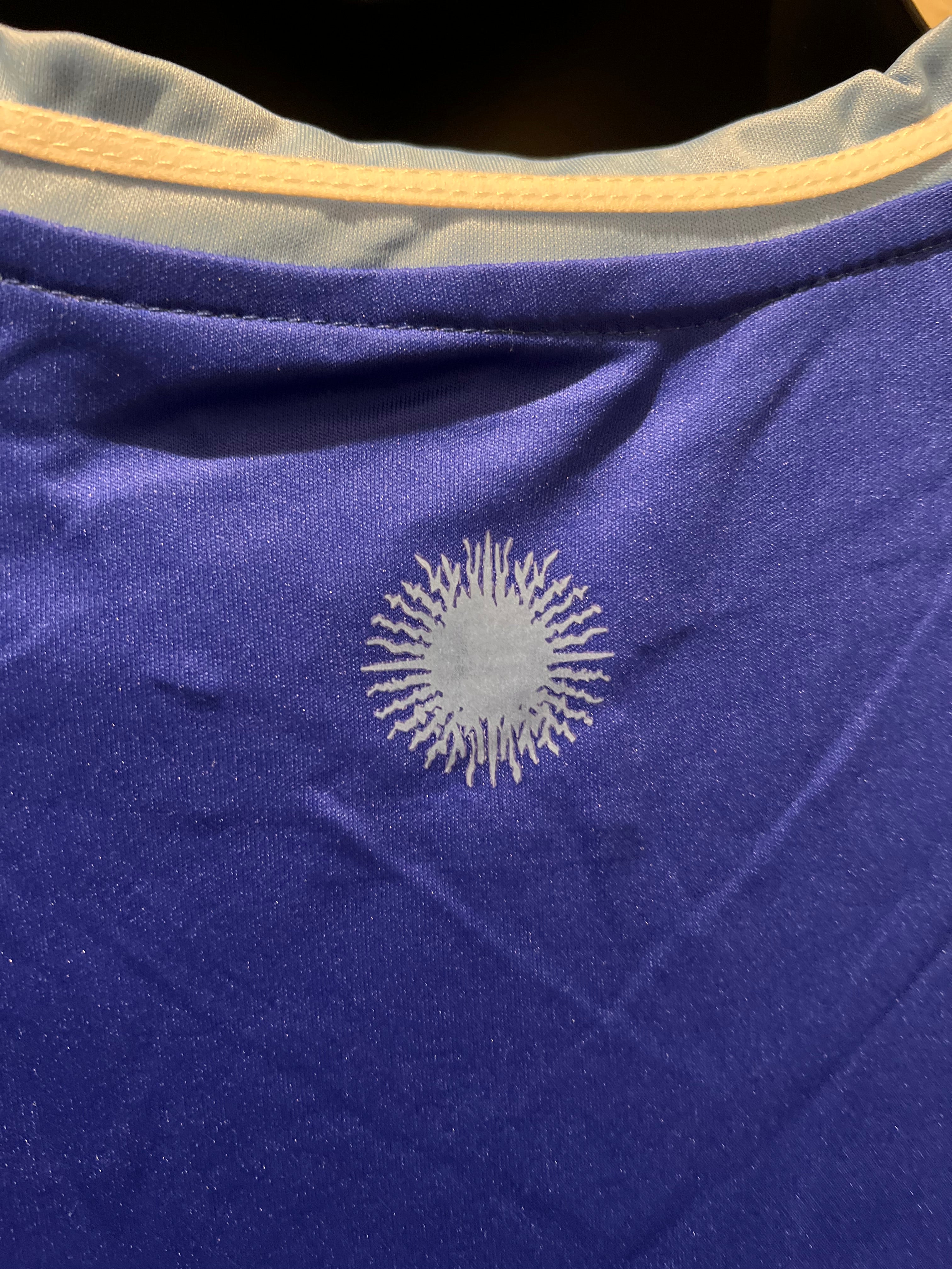Argentina Home/Away Jerseys Copa America Edition Kit 2024